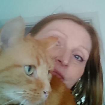 Ginger68